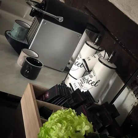 Apartmán Sous Les Toits Du Zinc - Climatise