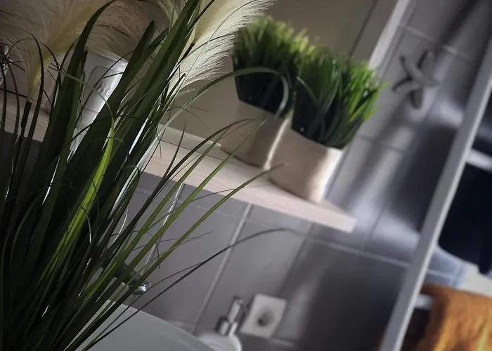 Sous Les Toits Du Zinc - Climatise