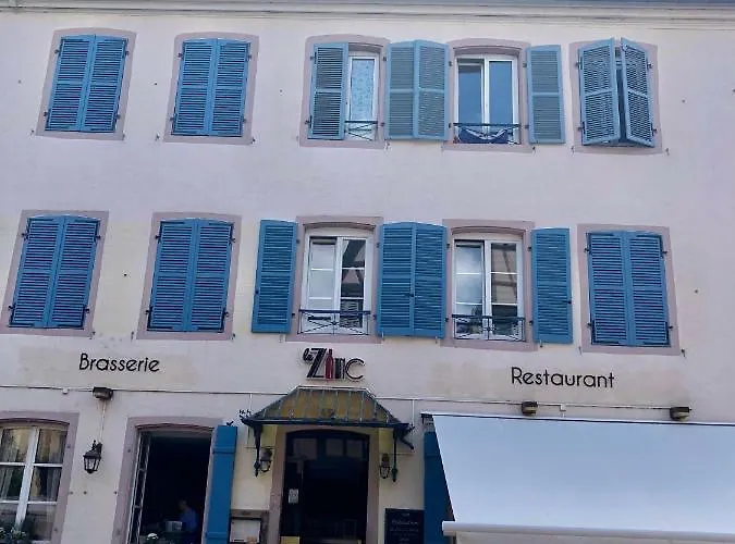 Apartment Sous Les Toits Du Zinc - Climatise *